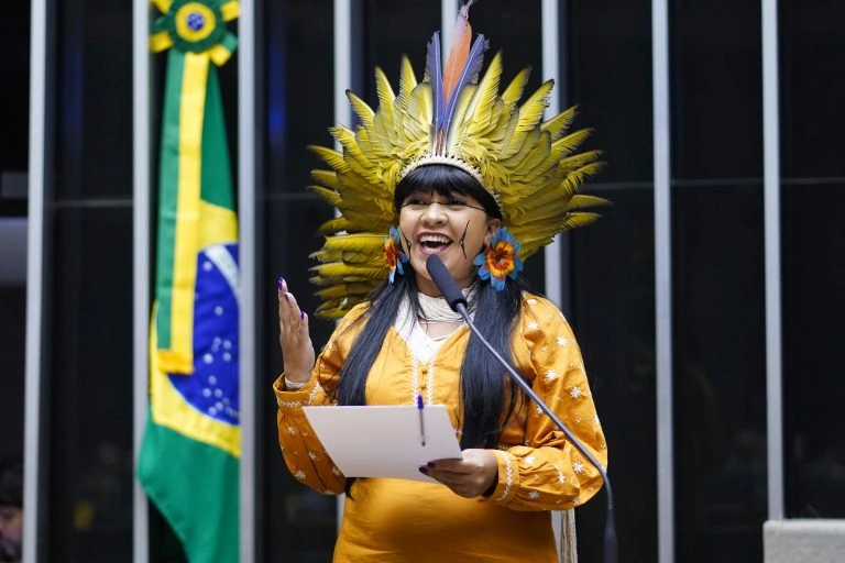 Organizações indígenas defendem Célia Xakriabá após ataques na Câmara